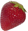 いちごパークのいちご