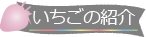 いちごパークについて