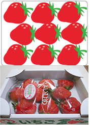 スーパーデラックス9個入り1パック