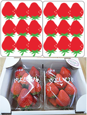 3Ｌサイズ×2パック