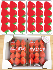 2Ｌサイズ×2パック